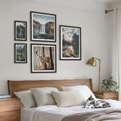 Conjunto de cuadros decorativos de paisajes con naturaleza, cascadas y fauna