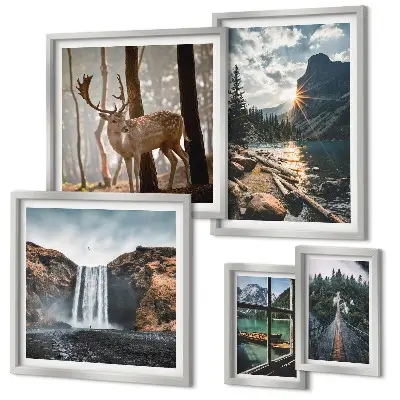 Conjunto de cuadros decorativos de paisajes con naturaleza, cascadas y fauna