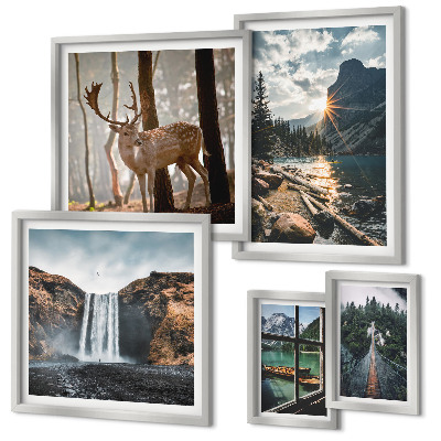 Conjunto de cuadros decorativos Paisajes naturaleza cascadas fauna