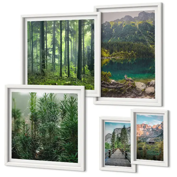 Set de 5 cuadros para salón con diseño de paisajes de montaña y bosques