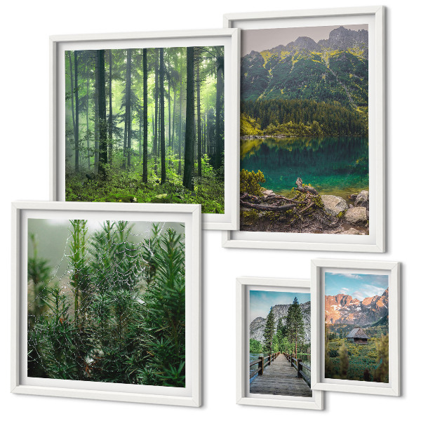 Set de 5 cuadros para salón Paisajes de montaña y bosques