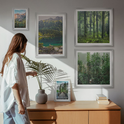 Set de 5 cuadros para salón Paisajes de montaña y bosques