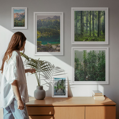 Set de 5 cuadros para salón Paisajes de montaña y bosques