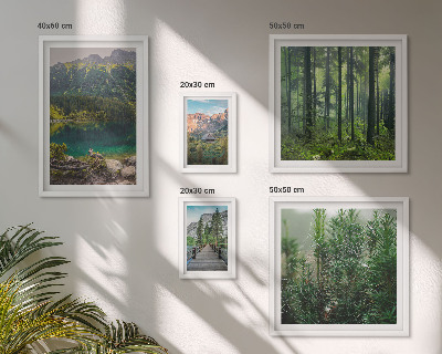 Set de 5 cuadros para salón Paisajes de montaña y bosques