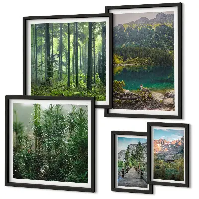 Set de 5 cuadros para salón con diseño de paisajes de montaña y bosques