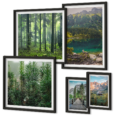 Set de 5 cuadros para salón Paisajes de montaña y bosques