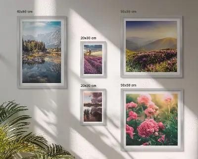 Conjunto de cuadros decorativos de paisajes con naturaleza, flores y montañas