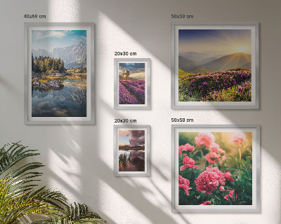Conjunto de cuadros decorativos Paisajes, naturaleza, flores, montañas