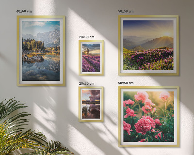 Conjunto de cuadros decorativos Paisajes, naturaleza, flores, montañas