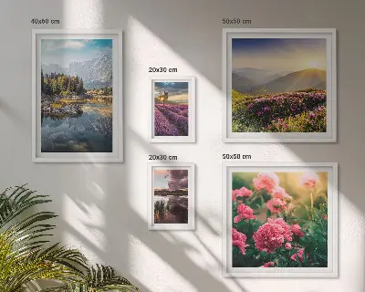 Conjunto de cuadros decorativos de paisajes con naturaleza, flores y montañas