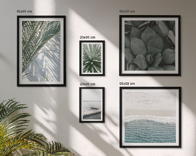 Set de 5 cuadros para salón Plantas tropicales con el mar