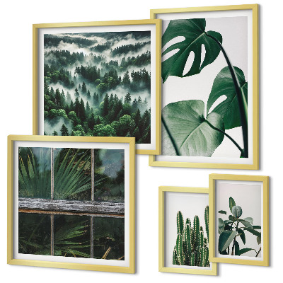 Pared galería de arte Plantas inspiradoras de los trópicos