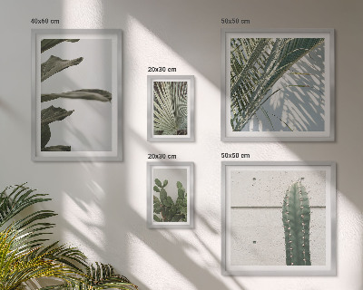 Pared galería de arte Detalles modernos de plantas
