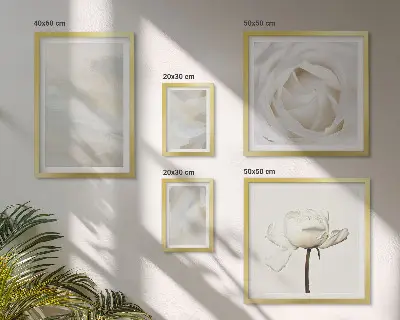 Set de 5 cuadros para salón con diseño de inspiraciones florales blancas