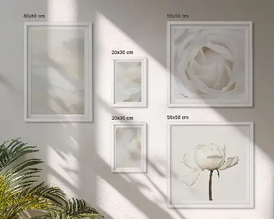 Set de 5 cuadros para salón con diseño de inspiraciones florales blancas