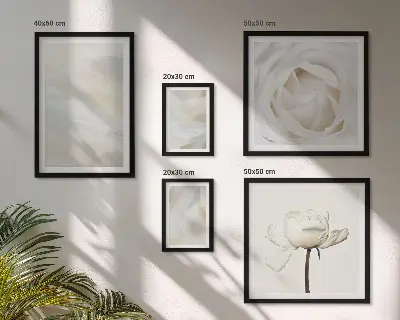 Set de 5 cuadros para salón con diseño de inspiraciones florales blancas