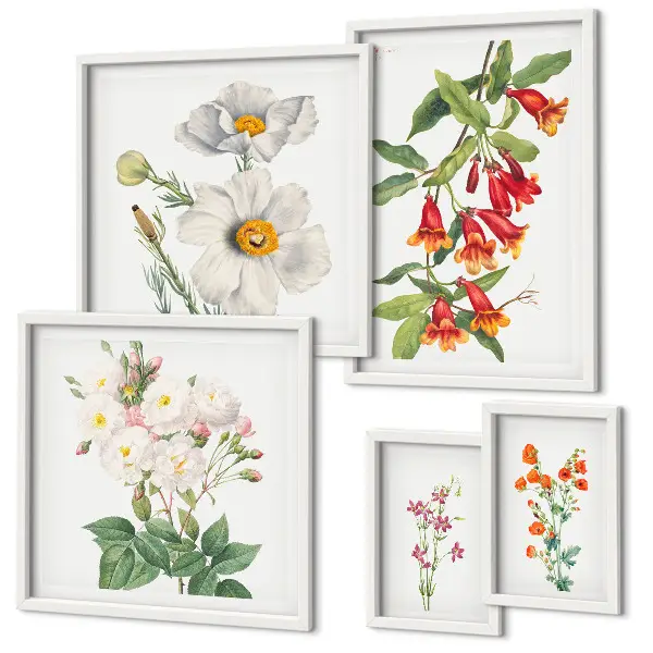 Conjunto de cuadros decorativos con ilustraciones botánicas florales
