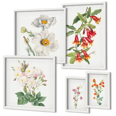 Conjunto de cuadros decorativos con ilustraciones botánicas florales