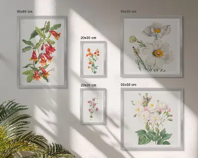 Conjunto de cuadros decorativos con ilustraciones botánicas florales