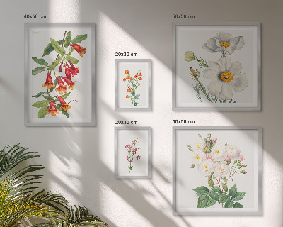 Conjunto de cuadros decorativos Ilustraciones botánicas florales