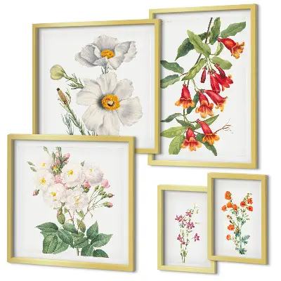 Conjunto de cuadros decorativos con ilustraciones botánicas florales