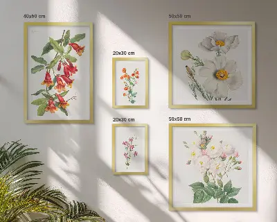 Conjunto de cuadros decorativos con ilustraciones botánicas florales