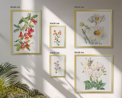 Conjunto de cuadros decorativos Ilustraciones botánicas florales
