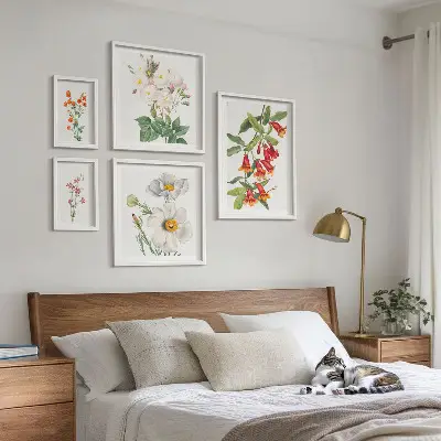 Conjunto de cuadros decorativos con ilustraciones botánicas florales
