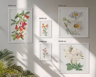Conjunto de cuadros decorativos con ilustraciones botánicas florales