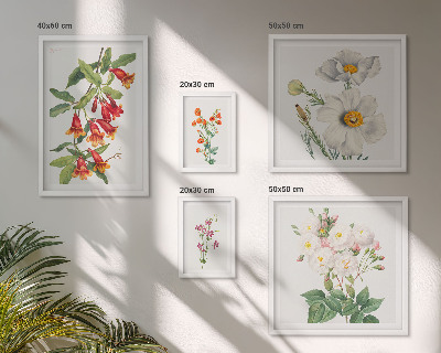 Conjunto de cuadros decorativos Ilustraciones botánicas florales