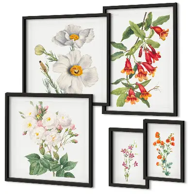 Conjunto de cuadros decorativos con ilustraciones botánicas florales