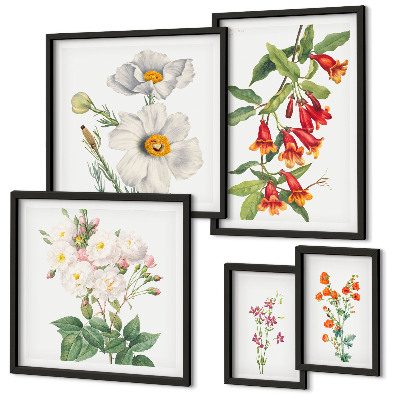 Conjunto de cuadros decorativos Ilustraciones botánicas florales