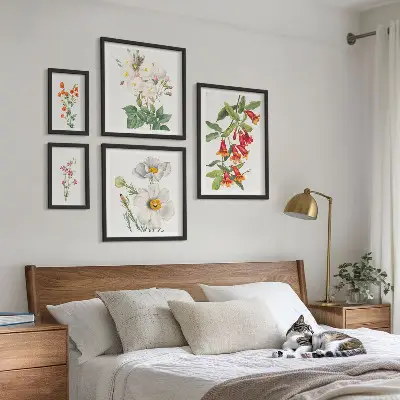 Conjunto de cuadros decorativos con ilustraciones botánicas florales