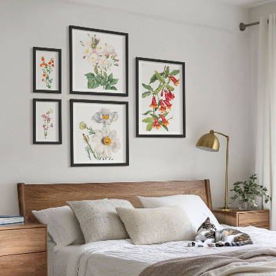 Conjunto de cuadros decorativos Ilustraciones botánicas florales