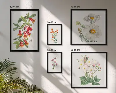 Conjunto de cuadros decorativos con ilustraciones botánicas florales