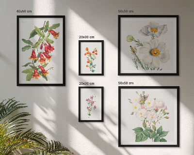 Conjunto de cuadros decorativos Ilustraciones botánicas florales
