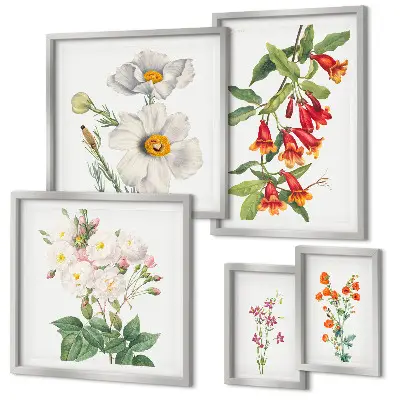Conjunto de cuadros decorativos con ilustraciones botánicas florales