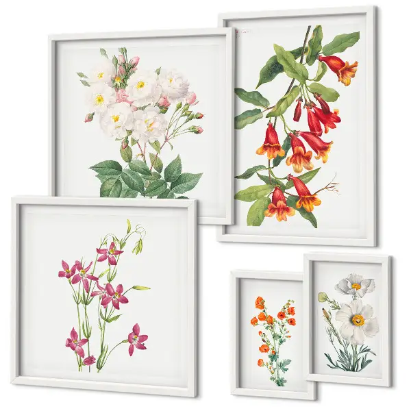 Set de 5 cuadros para salón con motivos botánicos florales