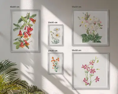 Set de 5 cuadros para salón con motivos botánicos florales