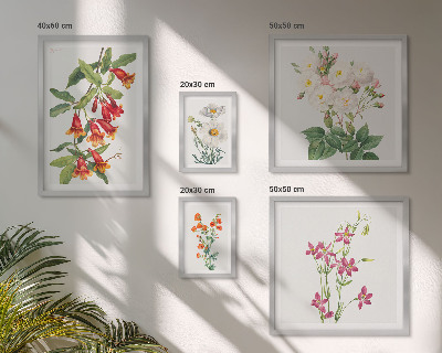 Set de 5 cuadros para salón motivos botánicos florales