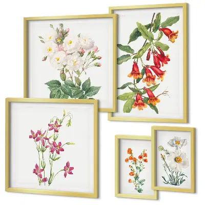 Set de 5 cuadros para salón con motivos botánicos florales