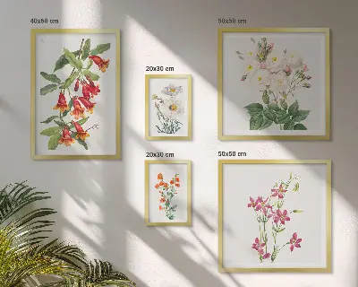 Set de 5 cuadros para salón con motivos botánicos florales