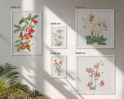 Set de 5 cuadros para salón con motivos botánicos florales