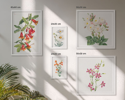 Set de 5 cuadros para salón motivos botánicos florales