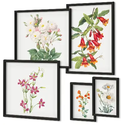 Set de 5 cuadros para salón con motivos botánicos florales