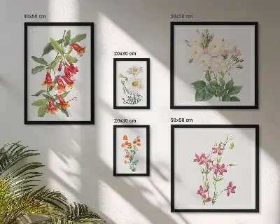 Set de 5 cuadros para salón con motivos botánicos florales