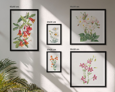 Set de 5 cuadros para salón motivos botánicos florales