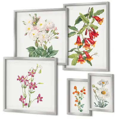 Set de 5 cuadros para salón con motivos botánicos florales