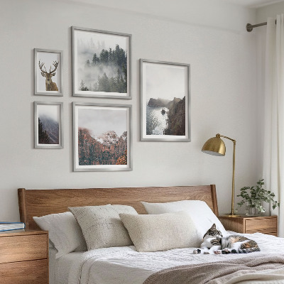 Conjunto de cuadros decorativos paisajes de vida silvestre