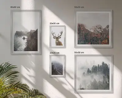 Conjunto de cuadros decorativos con paisajes de vida silvestre
